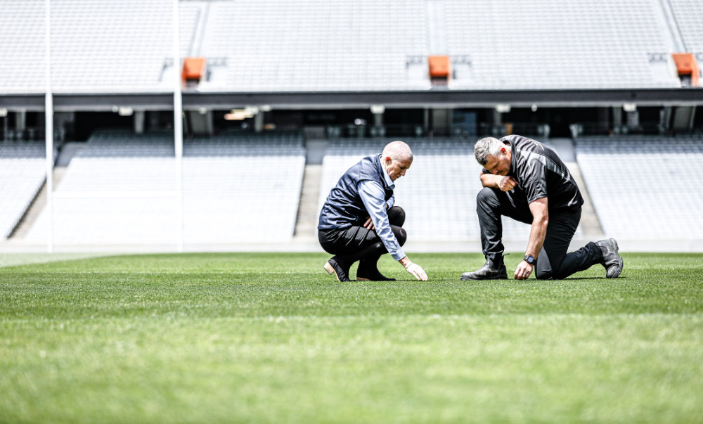 Turf New Zealand Home Page