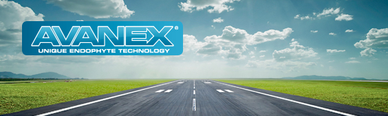 Avanex
